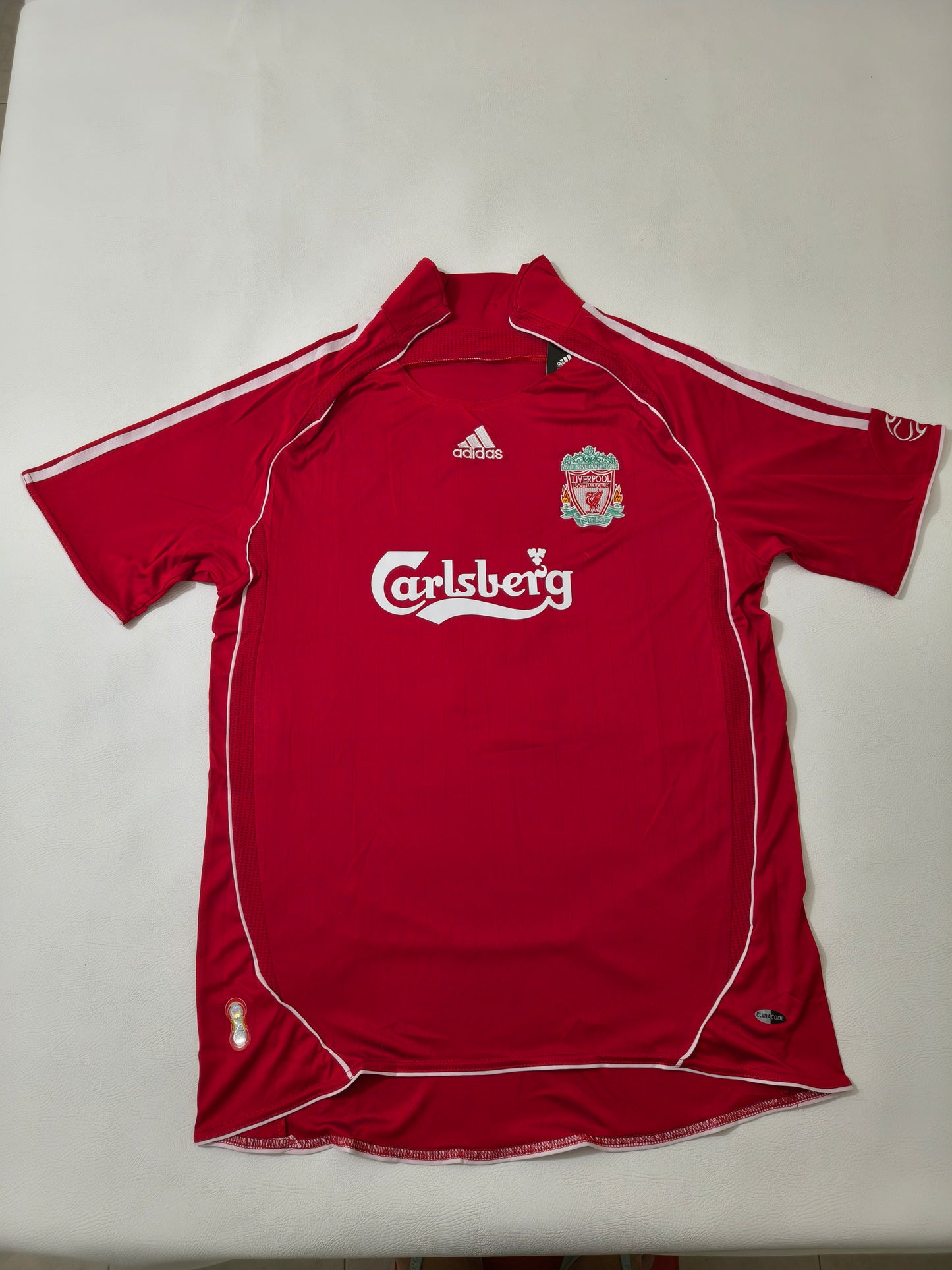 Liverpool 2006 - Torres